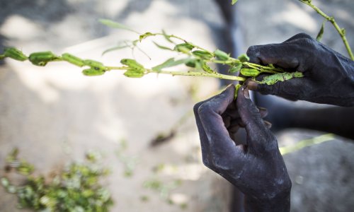 Photo: ALBERT GONZALEZ FARRAN/AFP/Getty Images