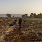 A man walks through a destroyed field.