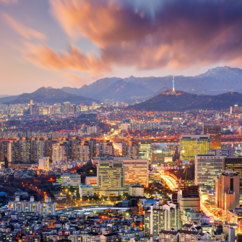 Beyond Parallel Newsletter