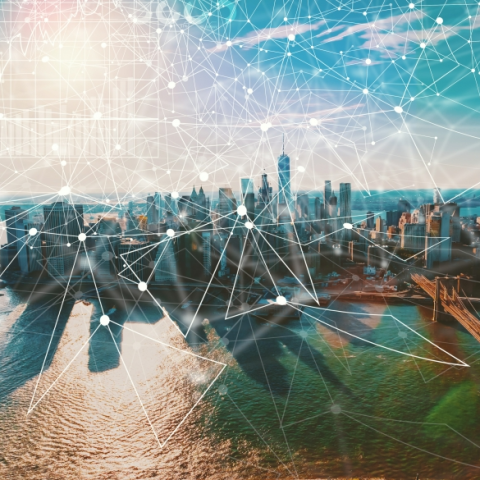 The Innovation Hub Newsletter